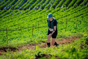 BIB: 
                            <button type="button" onclick="openModal(19162420)" class="btn btn-primary btn-sm float-right btn-popup" data-toggle="modal" data-target=".modal-high-quality">
                        <i class="fas fa-shopping-cart"></i> Add to Cart
                    </button>
                                            <button type="button" onclick="isThisMe(19162420, true)" class="btn btn-success btn-sm float-right btn-popup btn-isme hidden" data-toggle="tooltip" data-placement="bottom" title="นี่คือรูปของคุณใช่ไหม คลิกที่นี่เพื่อเอาเข้าอัลบั้ม">
                        <i class="fas fa-plus"></i> Add to album
                    </button>
                    <button type="button" onclick="isThisMe(19162420, false)" class="btn btn-warning btn-sm float-right btn-popup btn-isnotme hidden">
                        <i class="fas fa-ban"></i> Remove from album
                    </button>